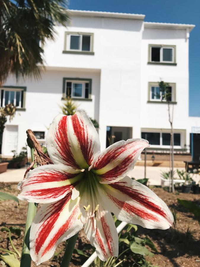 Sun Rays Hostel Kazaphani Екстериор снимка